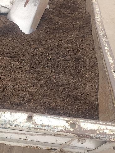 саат ош: Чиринди топурак сатылат — 4