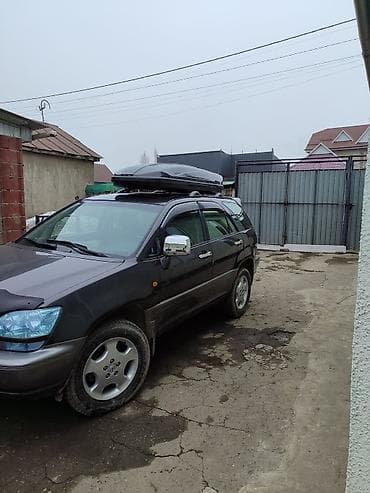 yamaha p125: Lexus RX: 2002 г., 3 л, Автомат, Внедорожник — 1