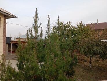 квартиры рядом: Дом, 650 м², 8 комнат — 4