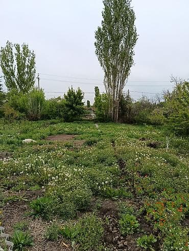 Земельные участки: 4 соток, Для строительства — 2