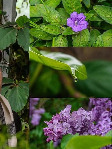 maxima j30: Услуги фотографа-видеографа. Снимаю на Сони a6400 (вдруг это кому то — 3