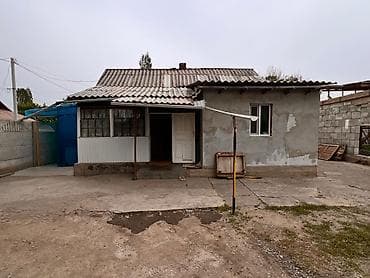 Үйлөр: Уй сатылат баасы 50$ дагы сулошулор болот докуметери бардыгы бар — 3