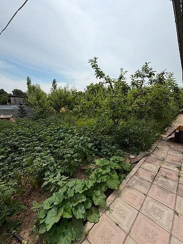 ипотека банк: 🏡 Продаётся дом в районе Сокулук 📍 Участок — 11 соток ✅ Свет и вода — 4