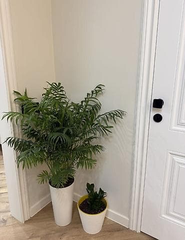Продажа квартир: 2 комнаты, 50 м², Элитка, 13 этаж, Дизайнерский ремонт — 7