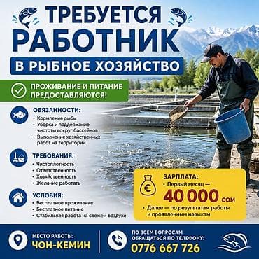 офисный работник: 🐟 Требуется работник в рыбное хозяйство 📍 Место работы: с. Чон-Кемин — 1