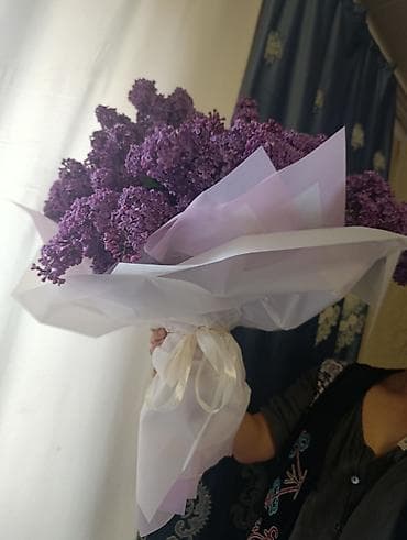 изгород: Сирень свежесрезанная❤️💜💜💜💜💜💜Продаю калированную Сирень ❤️❤️, с густым — 6