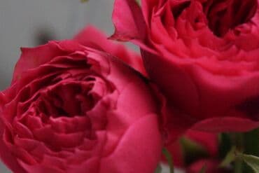 6d фотоаппарат: Sony a6000 kit + 2 аккумулятора+ зарядное устройство + зеркало для — 4