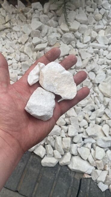 все для декора: Декор для дома и сада — 9