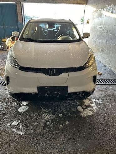 Транспорт: Microcar : 2020 г., Кроссовер — 2