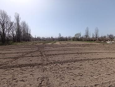 сдаю 1 комнату с подселением: 43 соток, Для сельского хозяйства — 6