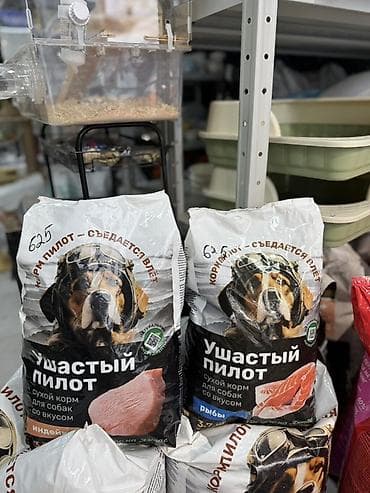 корм фарель: Сухой корм для собак «Ушастый пилот» Упаковка 3,7кг (625сом) — 1