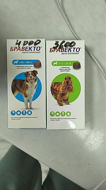 Бравекто (флураланер) — жевательные таблетки для собак для лечения и at lalafo.kg Бравекто (флураланер) — жевательные таблетки для собак для лечения и