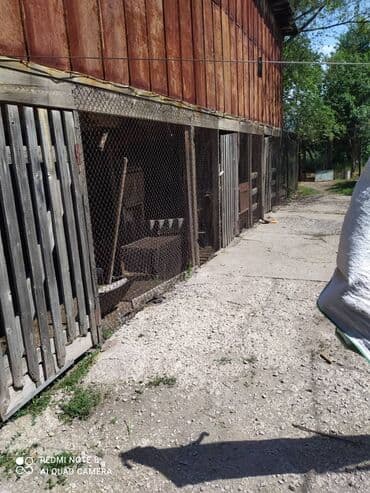 дома в беловодском: Дом, 55 м², 4 комнаты, Собственник — 5