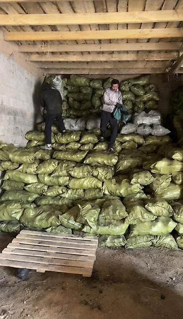 Үй жана бакча үчүн баардык: Уголь сулюкта - Фракция: крупные цельные куски, равномерно — 5