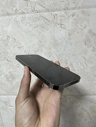 cd dvd: IPhone 13 Pro, Серебристый, Коробка — 5