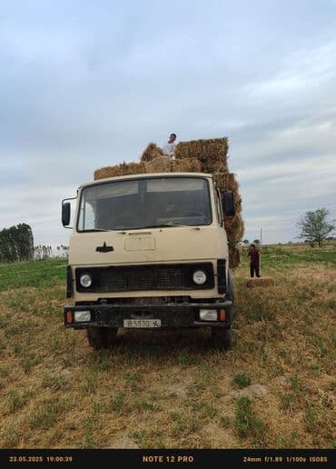 дом для котов: МАЗ продажу или менаяу — 3