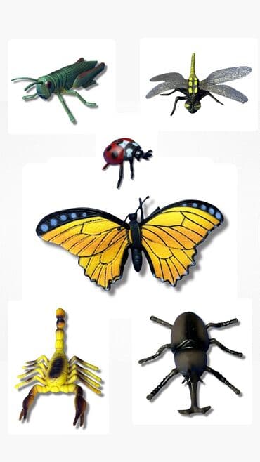 домик для: 6 насекомых [ акция 50% ] - низкие цены в городе! | доставка по — 1