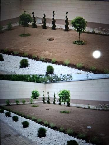 косим траву бишкек: Аймактарды жыйнап тазалоо, Газон чабуу — 4