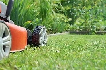 Обслуживание участков🏡 Стрижка газона 🌱 Топиарная стрижка растений🌳 — 3