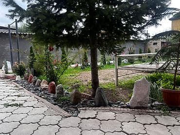 где купить горшки для цветов: Продаётся хороший дом 🏠 + времянка и цокольный этаж — 9