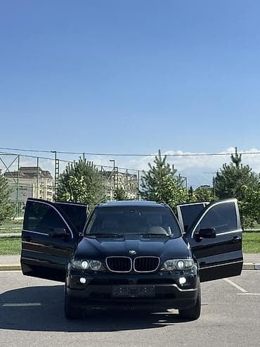 BMW X5: 2002 г., 4.4 л, Автомат, Бензин, Кроссовер