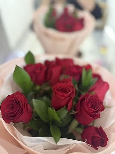 дома в пригороде: 3 комнаты, Собственник, С подселением, С мебелью полностью — 1