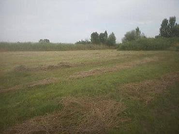 кыймылсыз мүлк: 50 соток, Курулуш, Кызыл китеп — 2