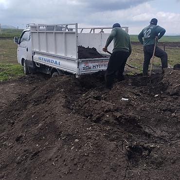 навоз портер: Заказать Хендай портер, Перевозка мебели, C грузчиком — 3