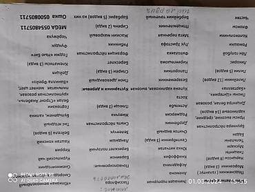 садовые и комнатные растения: Тис ягодный вечнозелёный неприхотливый солнце и — 4