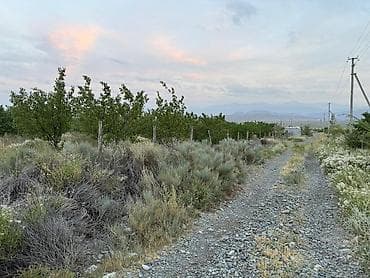 royal center: 250 соток, Для сельского хозяйства — 4