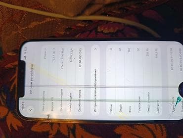 iphone 1e: IPhone 12 Pro Max, Б/у, 256 ГБ, Серебристый, Чехол — 2