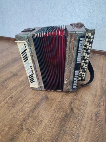 чехол для аккордеона: Продаю аккордеон — 1