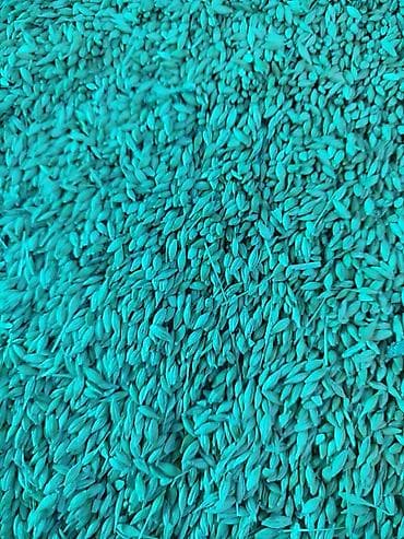 джутовый коврик: Продаю ячмень22,5 местный. для корма — 1