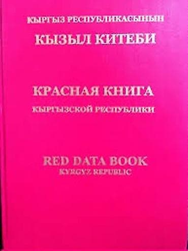 Продаю участок первомайский район.,жилмассив Тендик 1/16 Участок 8 — 1