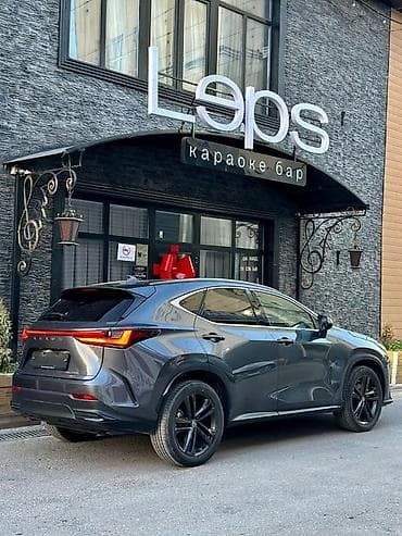 lexsus 330: Lexus NX: 2022 г., Гибрид, Кроссовер — 7