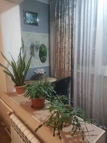 46: 1 комната, 46 м², Кок-Жар мкр Индивидуалка, 1 этаж, Косметический ремонт — 3