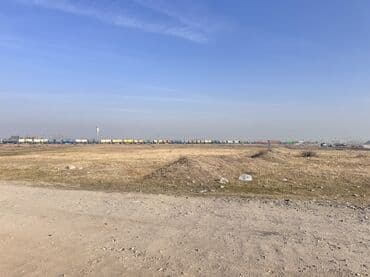 продаю участок на иссык куле село тамчы: 1500 соток, Для бизнеса, Красная книга — 9