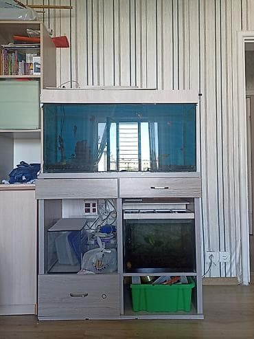 Продаю аквариум 200л и тумбочку