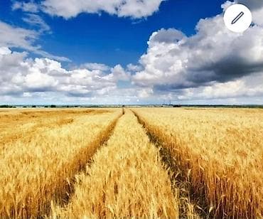 Дом и сад: Продаю пахотную орошаемую землю 6 га или меняю на дом или квартиру в — 1