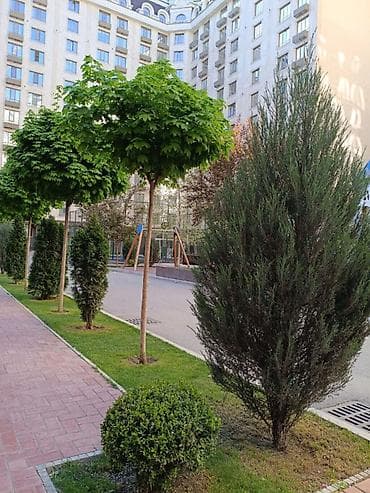 английский квартл: 1 комната, 45 м², Элитка, 6 этаж, Евроремонт — 7