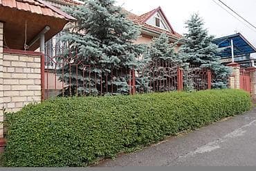 тэц 2: Дом, 200 м², 5 комнат, Агентство недвижимости, Старый ремонт — 2