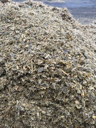 продать животных: Продаем Силос — 3