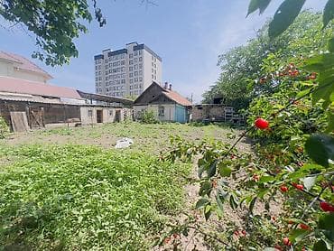 уч: 7 соток, Бизнес үчүн, Кызыл китеп, Техпаспорт, Сатып алуу-сатуу келишими — 3