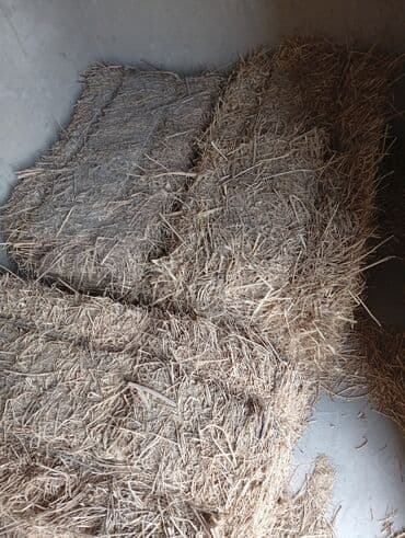 декоротивные кролики: Сено в тюках - Прессованные тюки прямоугольной формы, перевязаны — 1