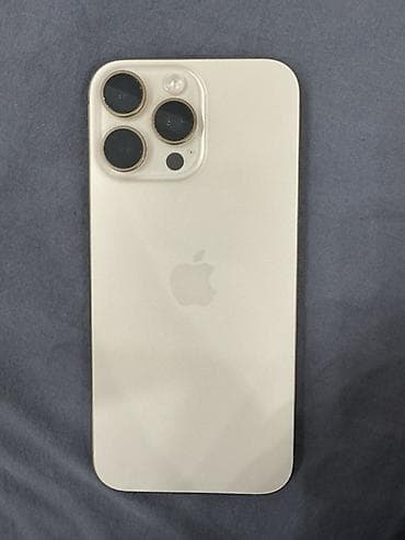 IPhone 16 Pro Max, 256 ГБ, Natural Titanium, Чехол, 95 %