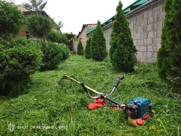 купить мойку высокого давления в бишкеке: Триммер, мотокоса Платная доставка, Самовывоз — 1