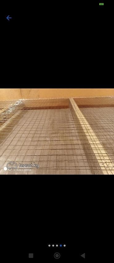 суточные циплята: Брудеры универсальные для цыплят утят гусят индюшат фазанов павлинов — 2