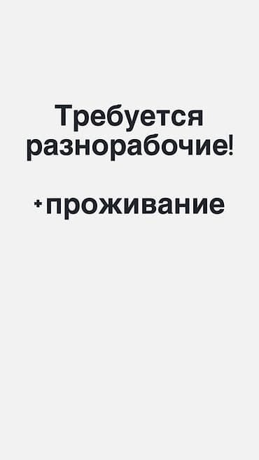 вызов ветеринара на дом бишкек: Вакансия: разнорабочие Описание: Требуются разнорабочие. Загородный — 1