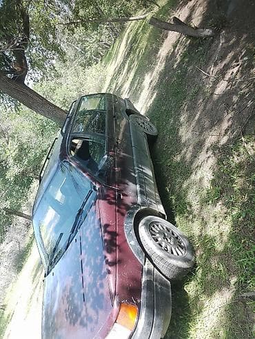родная краска один хозяин: Volkswagen Passat: 1993 г., Универсал — 3