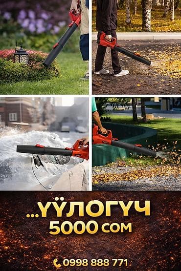 Уголь: Садовый воздуходув, Новый, Аккумуляторная, Платная доставка — 1